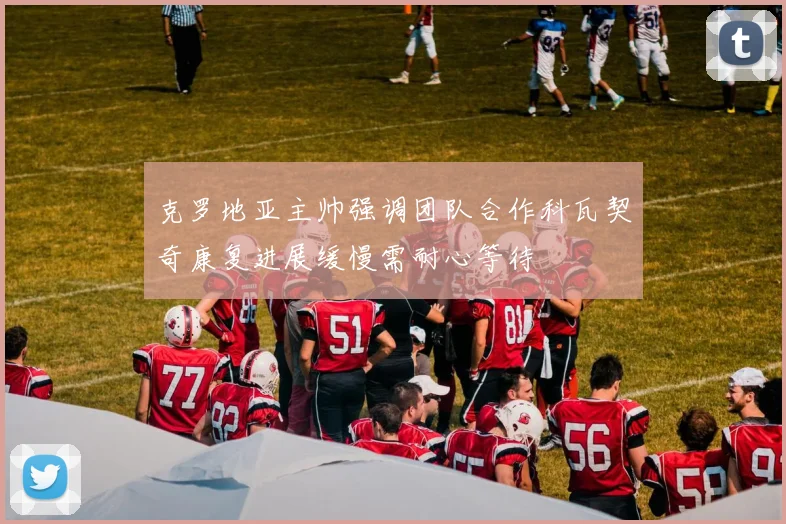 克罗地亚主帅强调团队合作科瓦契奇康复进展缓慢需耐心等待
