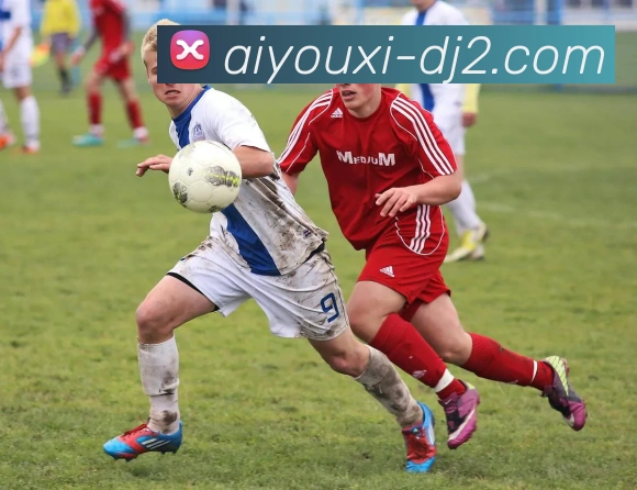 奖项证书